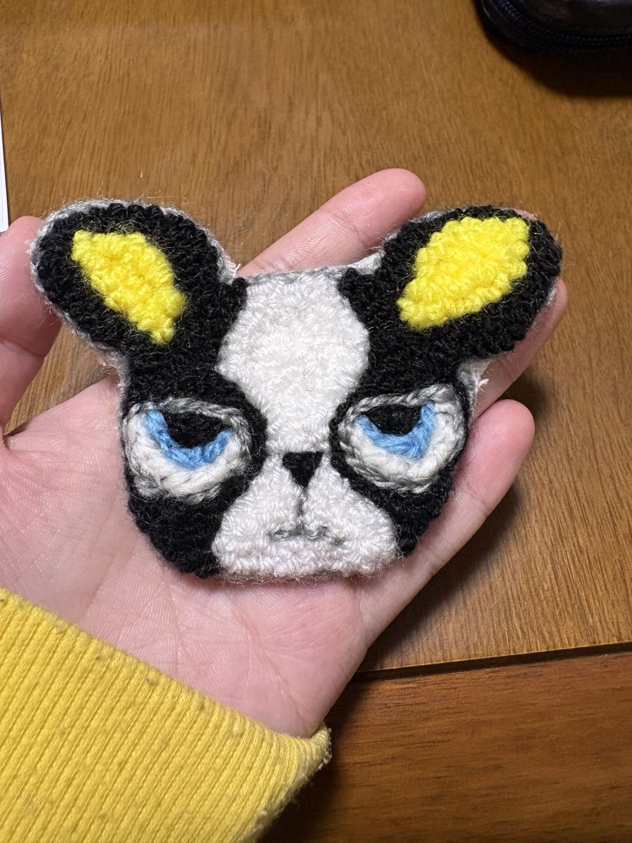 しろわにちゃん (@SHIROWANI_chan) / Posts / X