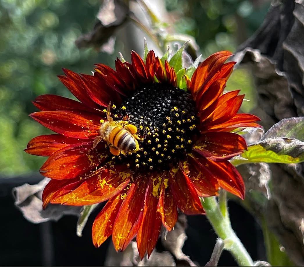 Is definitely feeling like Spring will soon be here 🤞