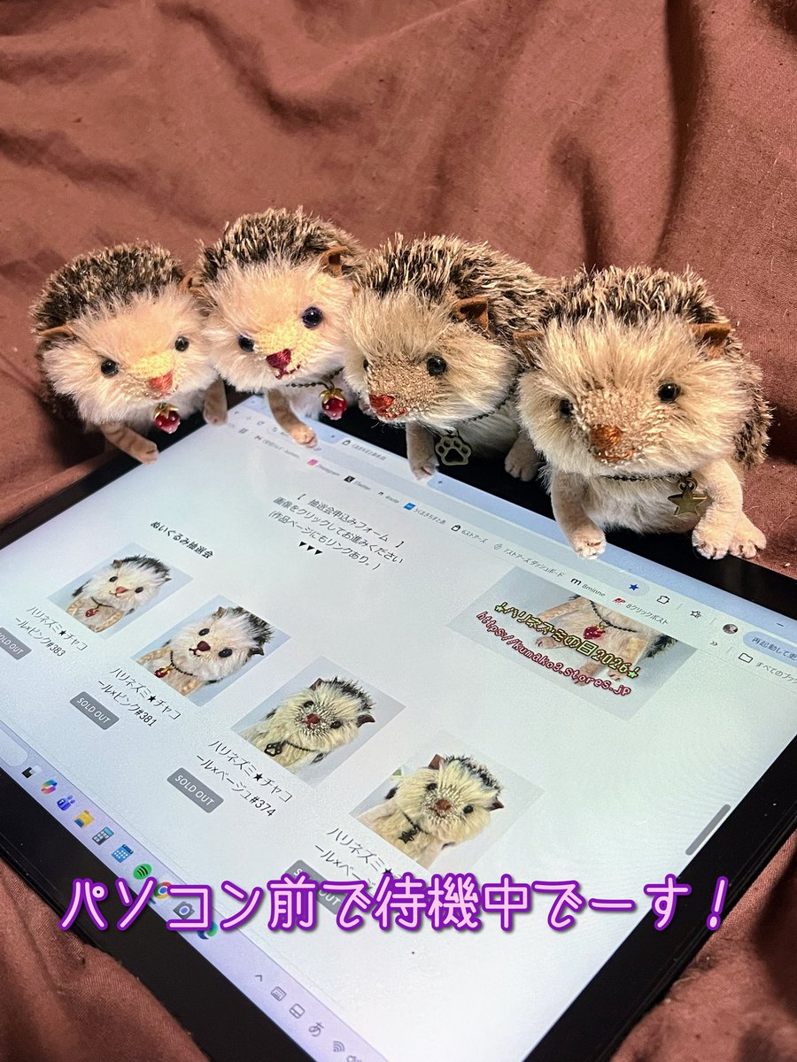 もうすぐ締め切り！】 1/26〜2/1 【抽選申込み期間】 2/1 21:00 【当選