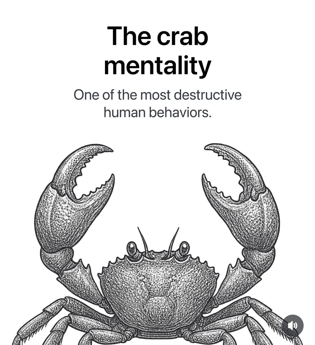 Power Beast tweet media