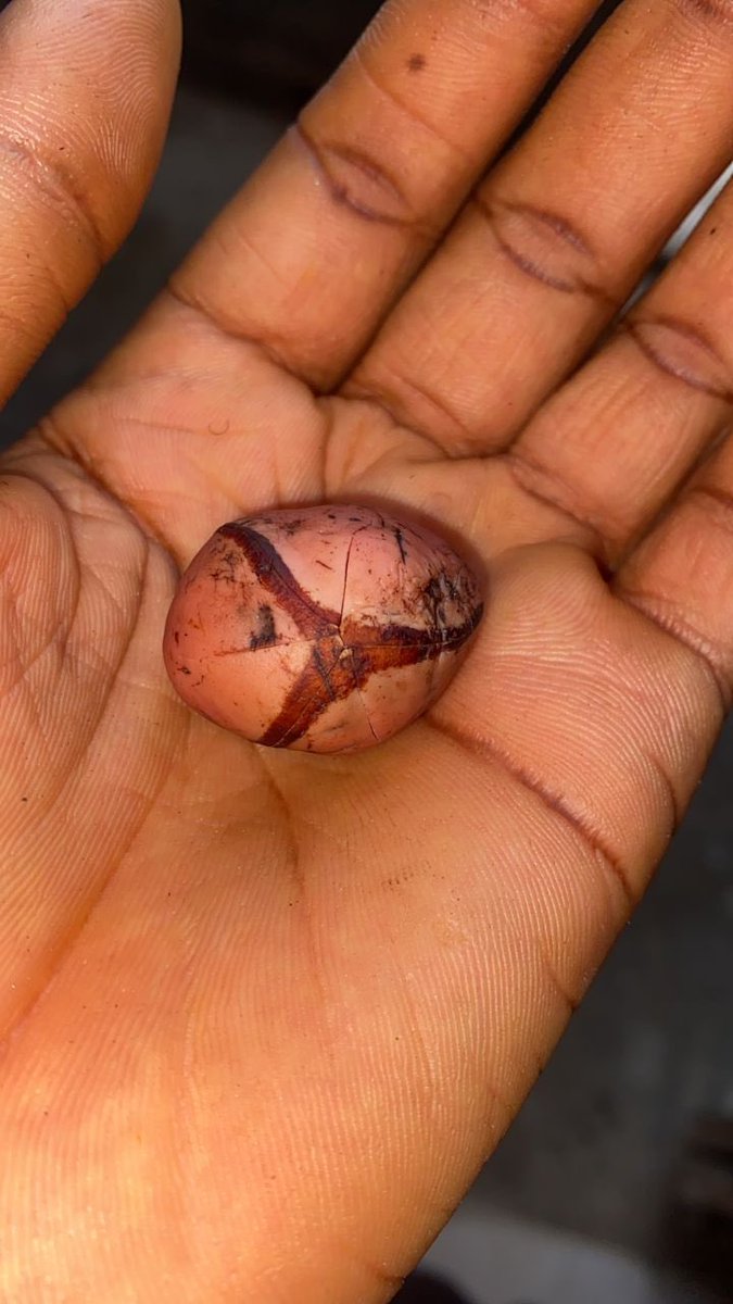 OlawaleOlanir12's tweet image. Ituwo awon agbalagba 

( if you notice witches are disturbing you do this )

Obi oloju meta 

Ewe iyalode funfun 3

Pound together with soap enough for you to bath once 

Use palm oil to rub your body before bathing at night 

Repeat it for three nights straight