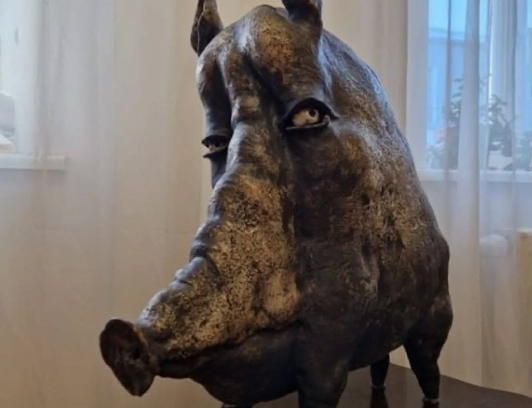 When u look at a guy and u can just tell that he’s on a lookmaxxing forum