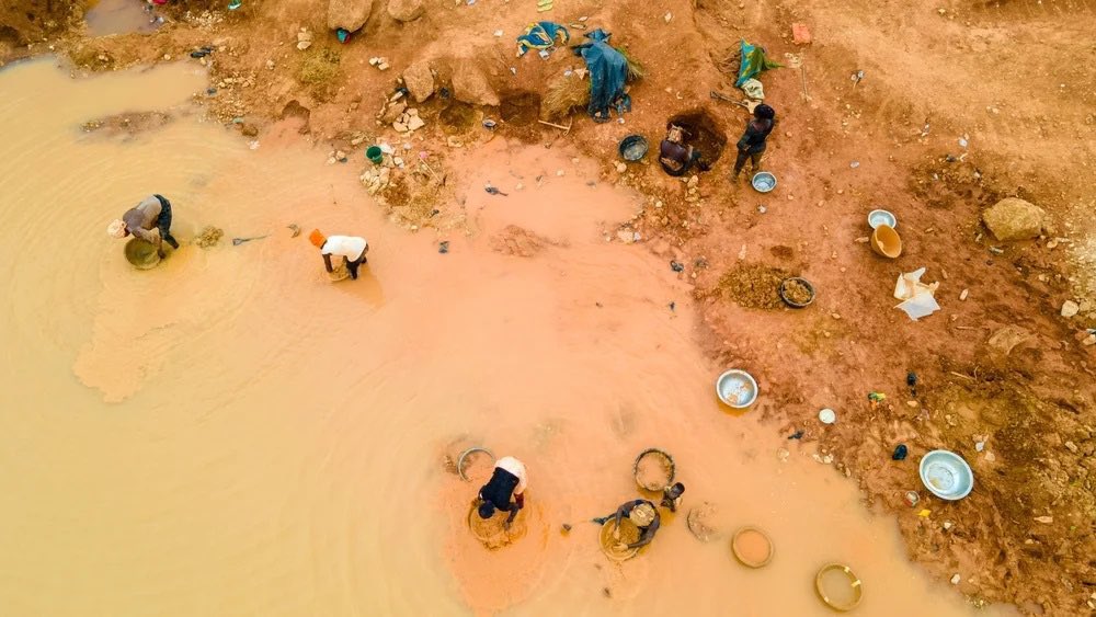 I_am_Kwofae's tweet photo. Dear @JDMahama
Our children deserve to fish, farm, and play in clean rivers, not wash in mercury-laced mud.
Kindly step in harder for the next generation. Their tomorrow depends on our action today.
Sincerely Yours @_Eco_Kwofae
#StopGalamseyNow https://t.co/uVnvAE815v