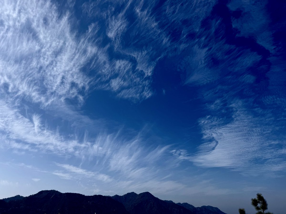 RahilMahajan07's tweet photo. 📷 (Instagram) catchynature2021

#NaturePhotography #mountains #nature #photography #sundayvibes #clouds #cloudscape #Sunday #NatureBeautiful #sky https://t.co/TVpYAZlvjB