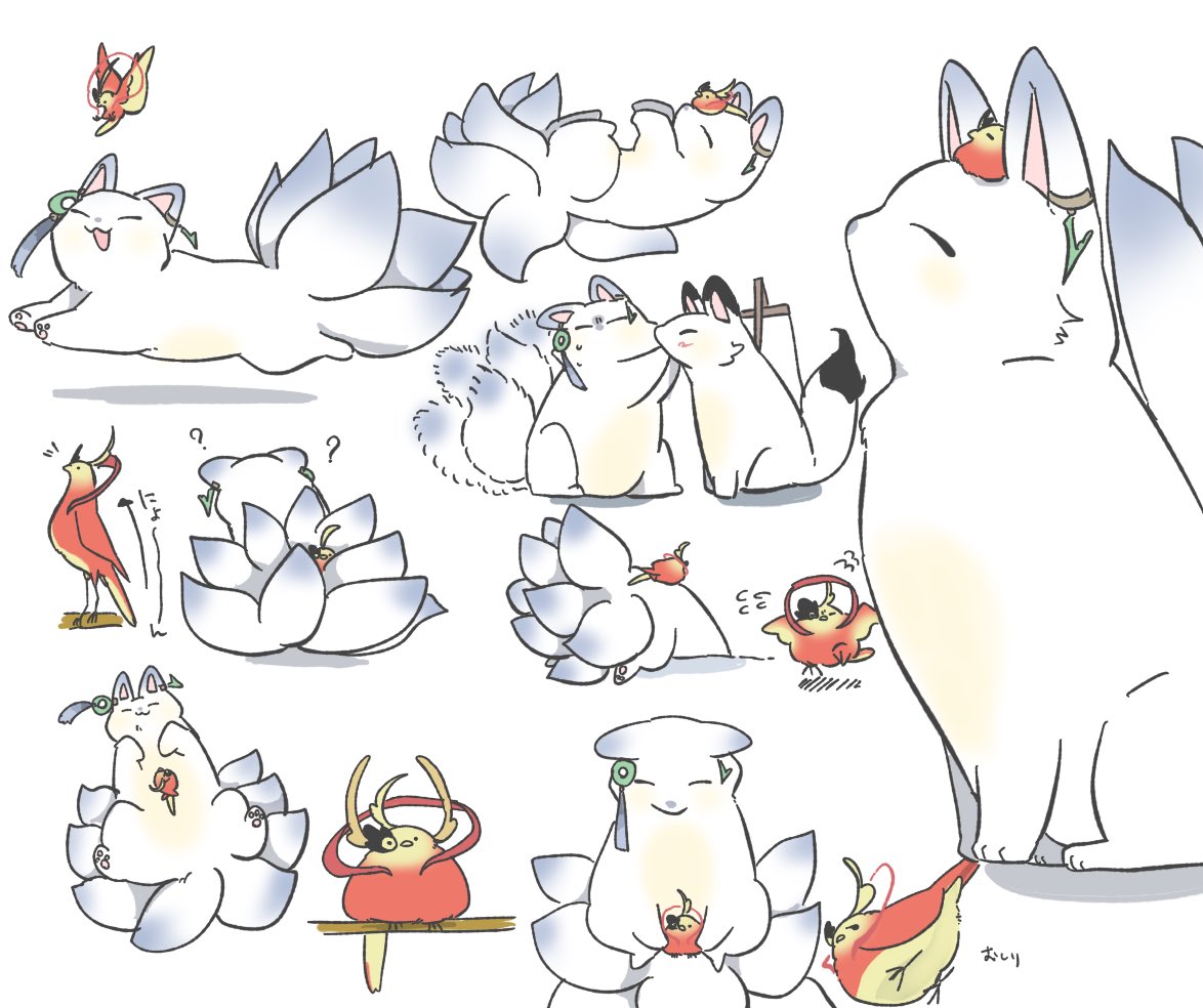 よな鳥 tweet media