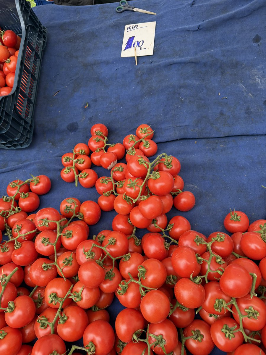 Seyhan Avşar tweet media