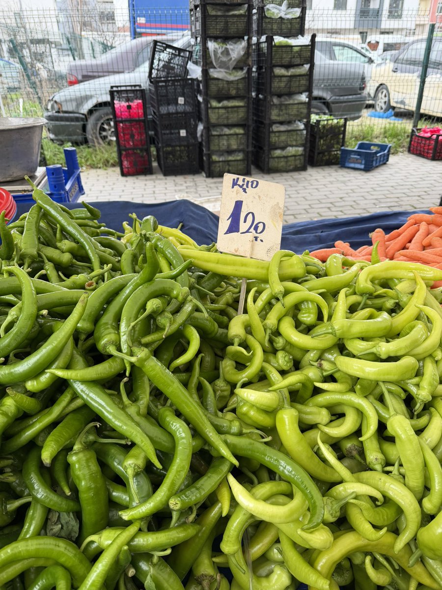 Seyhan Avşar tweet media