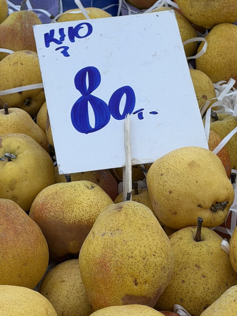 Seyhan Avşar tweet media