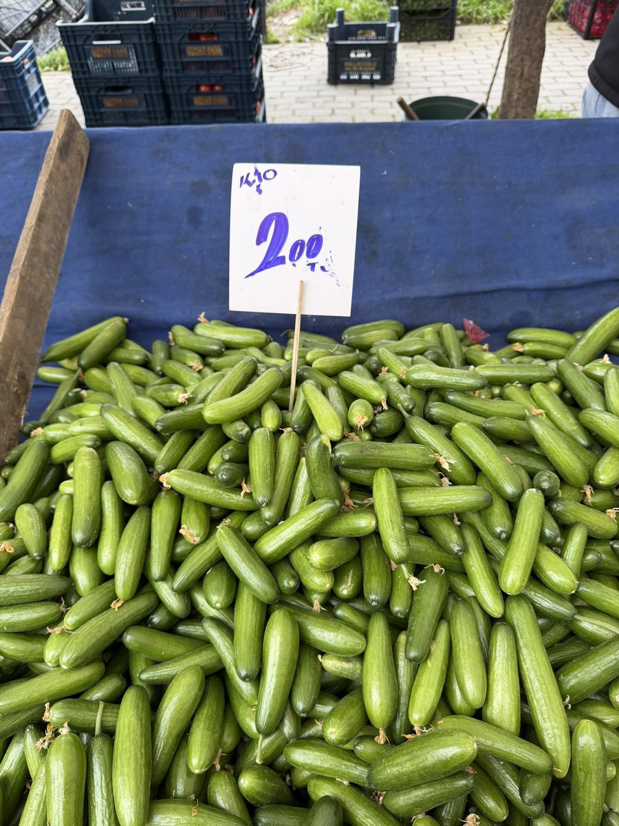 Seyhan Avşar tweet media