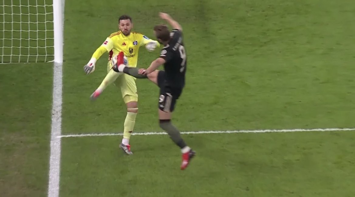 Zeuge Demels #FckAfD tweet media