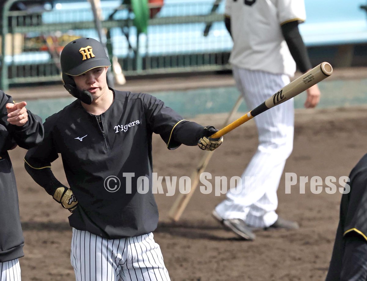 プロ野球】2026年2月1日 阪神キャンプ #佐藤輝明 #中野拓夢 #森下翔太