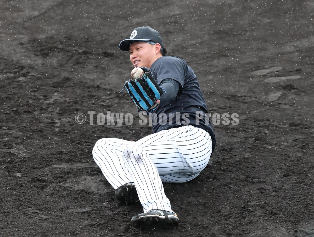 プロ野球】2026年2月1日 阪神キャンプ #佐藤輝明 #中野拓夢 #森下翔太