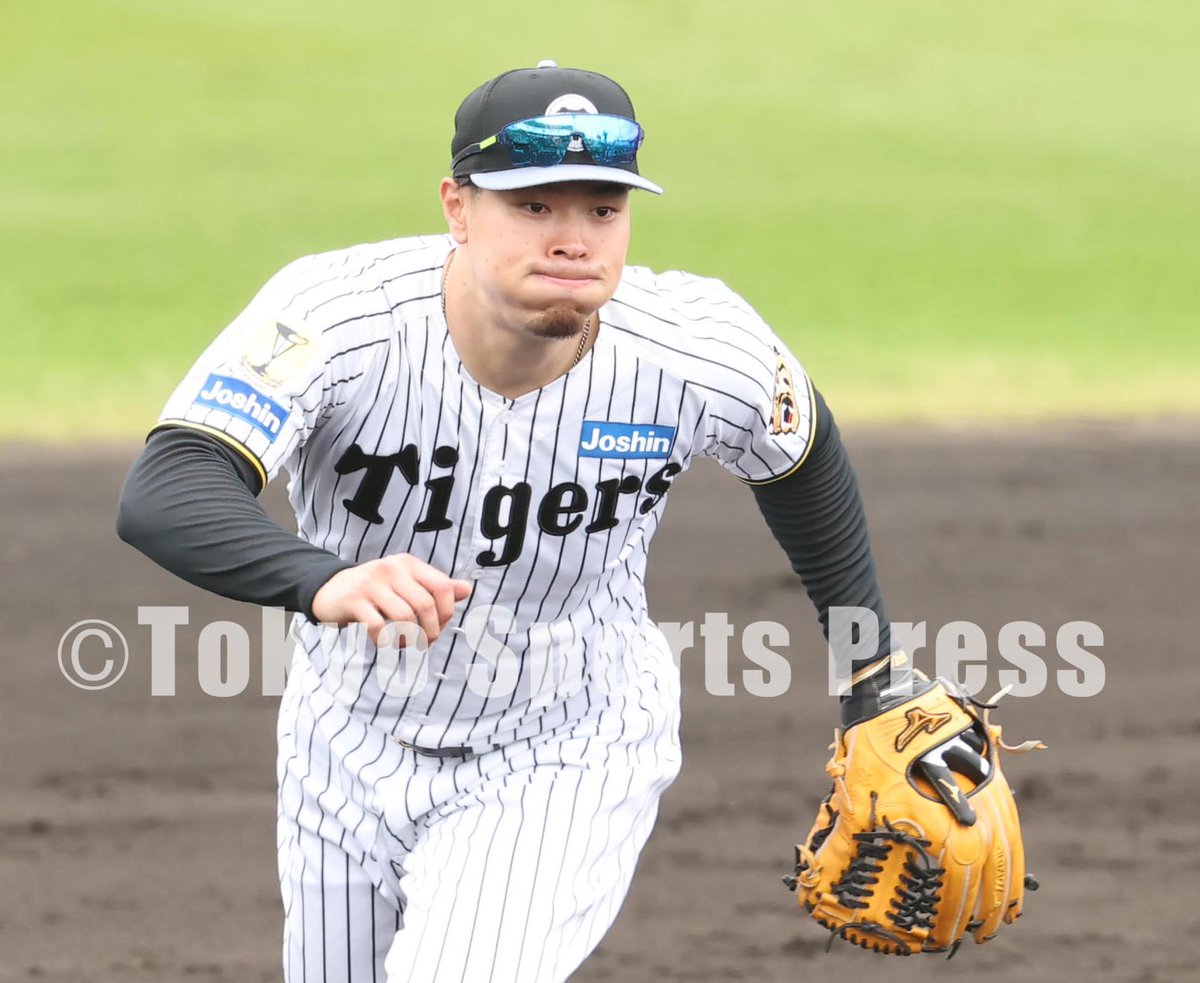 プロ野球】2026年2月1日 阪神キャンプ #佐藤輝明 #中野拓夢 #森下翔太