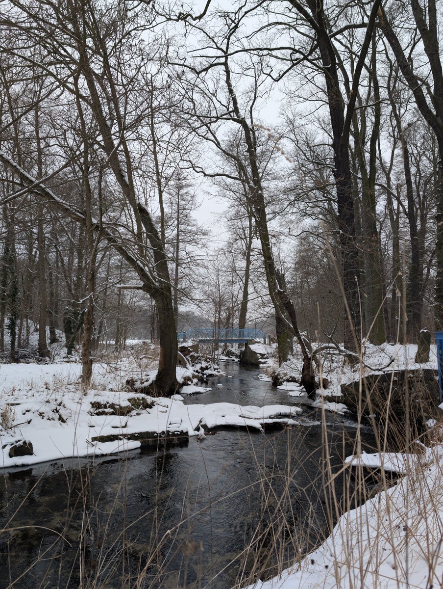TheWakeUpCallDE's tweet photo. Still Flowing.
#winterriver #naturemagic #riverwalk #frozenbeauty #wintervibe https://t.co/2OMV4rPYV1