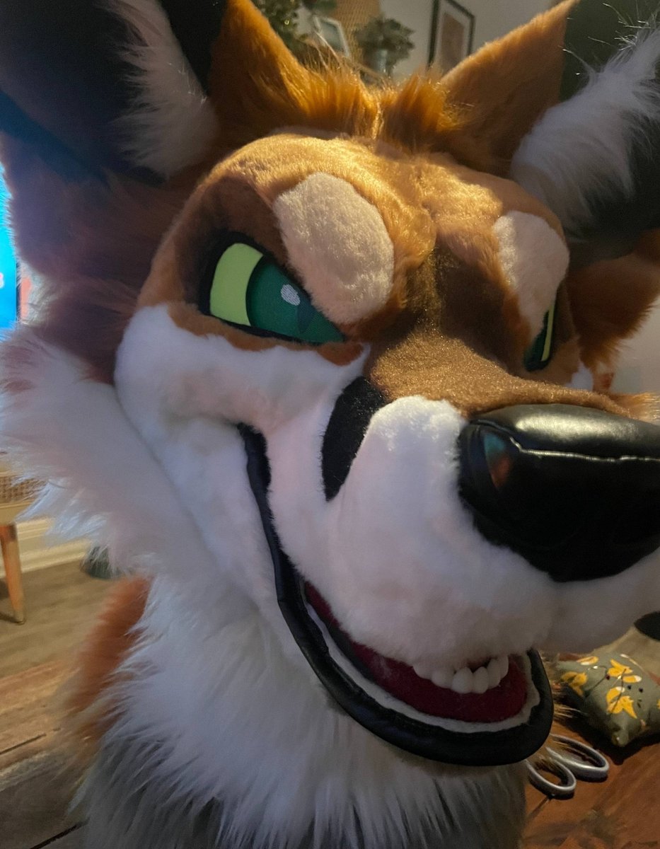 DeadDog Fursuits 🥀 tweet media