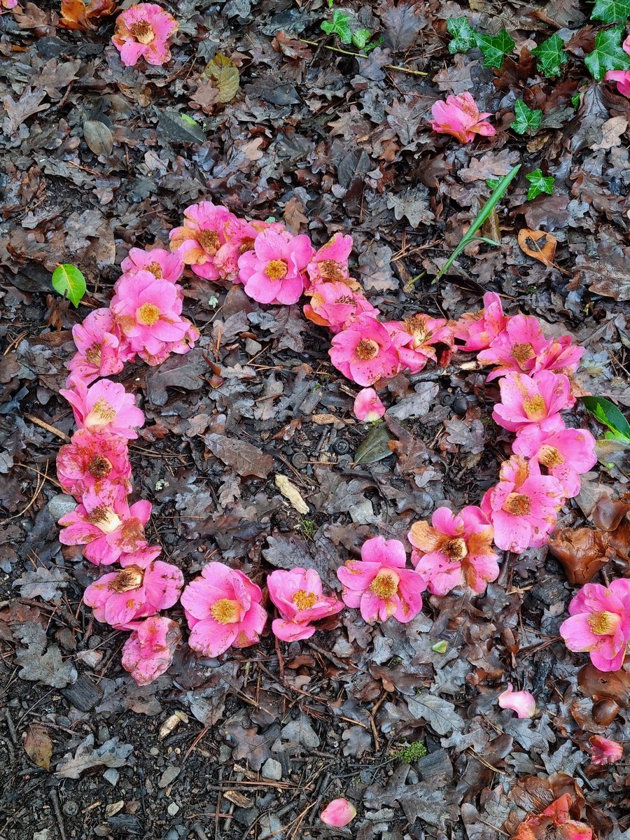 Good morning Muggles ☕️💗 Hello February! At last! Jeeeezus how long did January go on for! 🙄😂 Took this pic 📸 myself. Came across it on a nature walks last week 💗 Happy Sunday everyone 😀