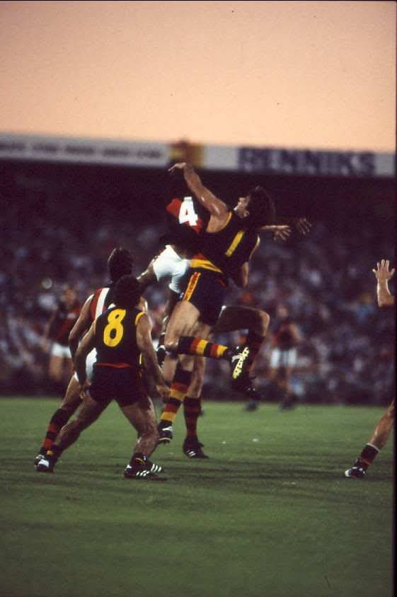 David Burtenshaw tweet media