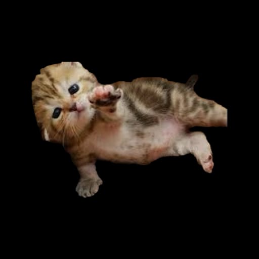 Es la primera vez que un shawarma me traiciona