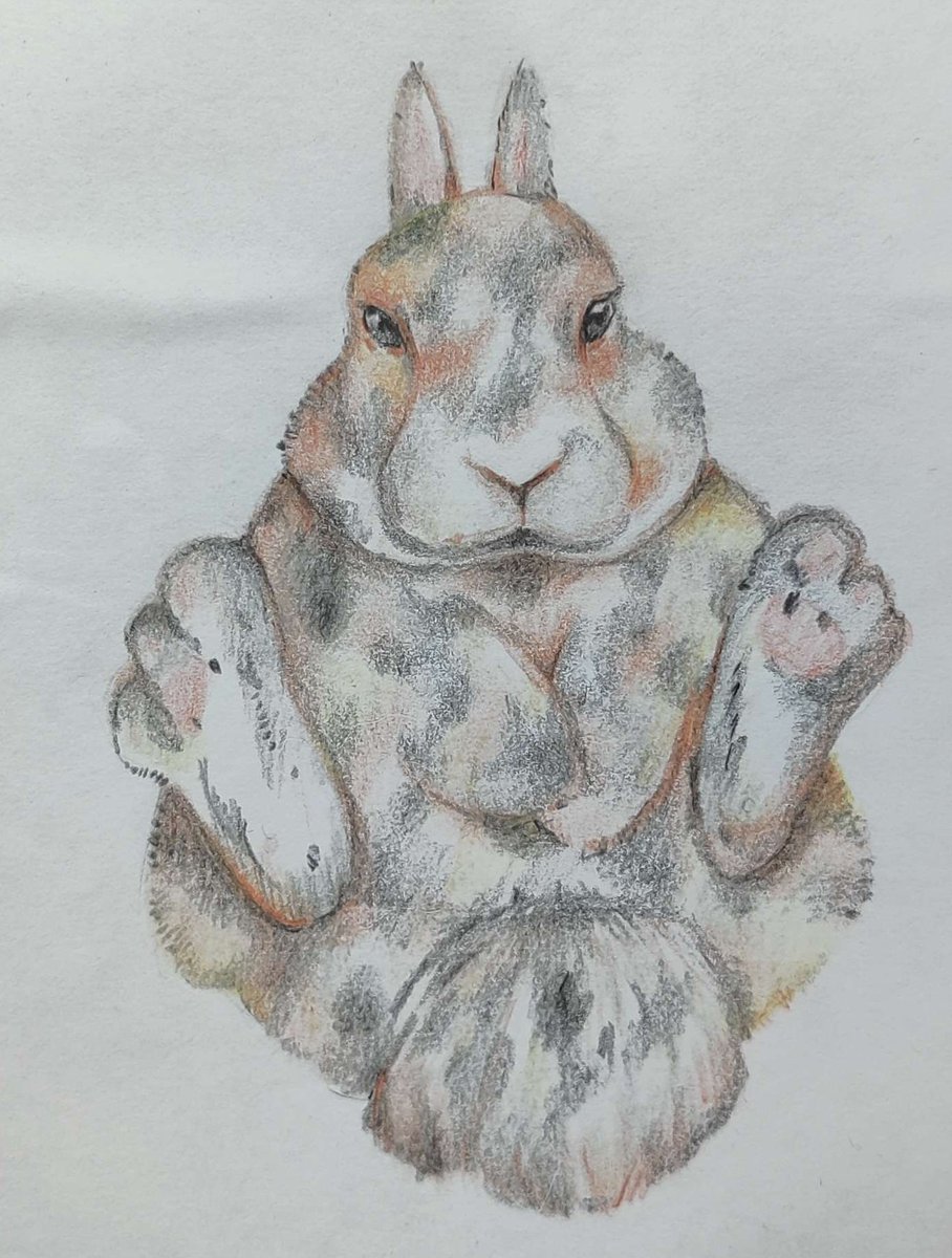 ︵‿₊୨Mazoozle୧₊‿︵ | Comms open🩷 tweet media