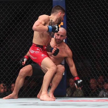 Super Fan🇮🇪 tweet media