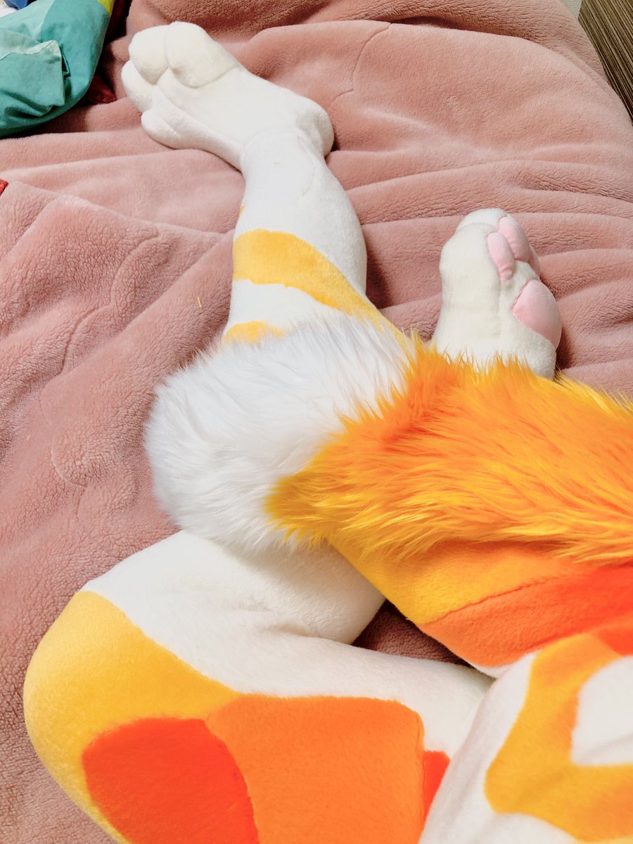 竹藪🔞 tweet media