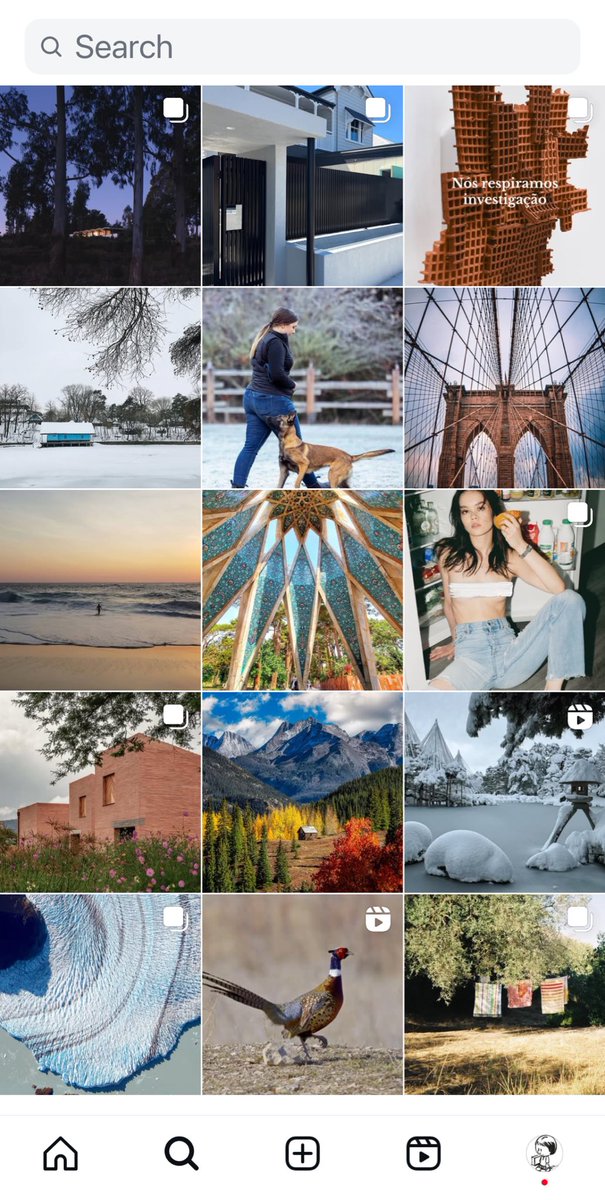 bugcolector's tweet image. instagram fyp is taking the 2016 era trend too seriously