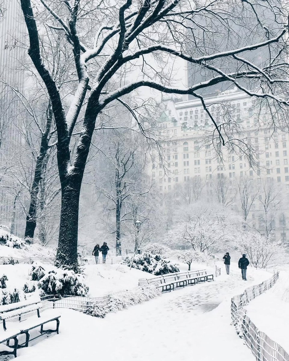 Central Park, New York