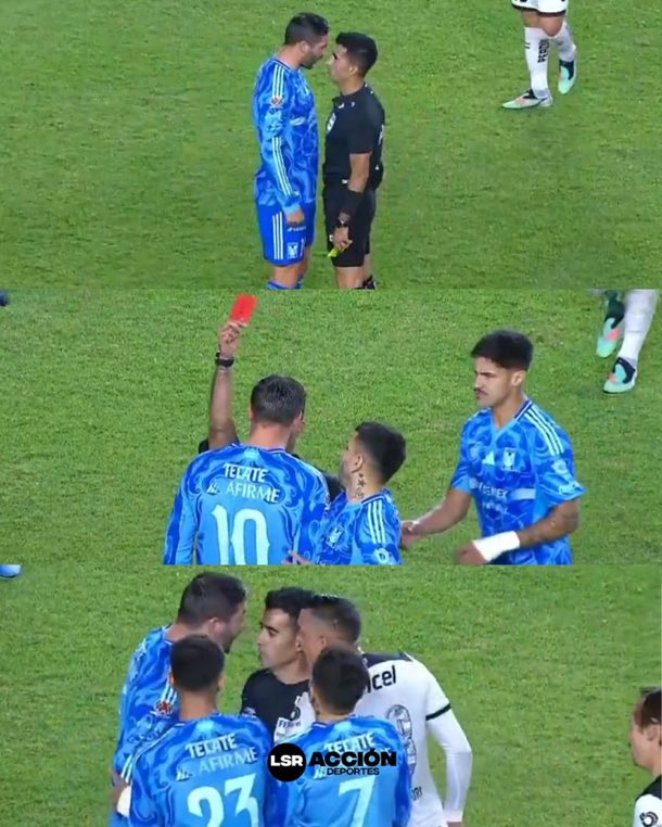 Panda Padilla. tweet media