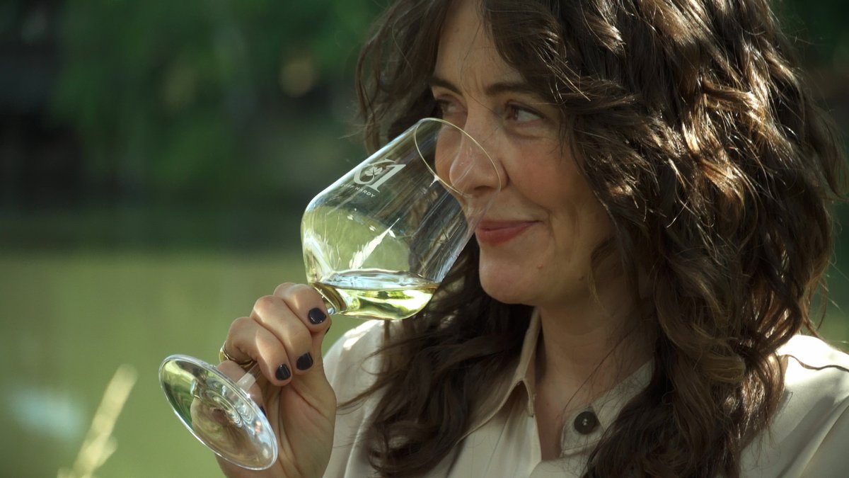 Channel 31 tweet media