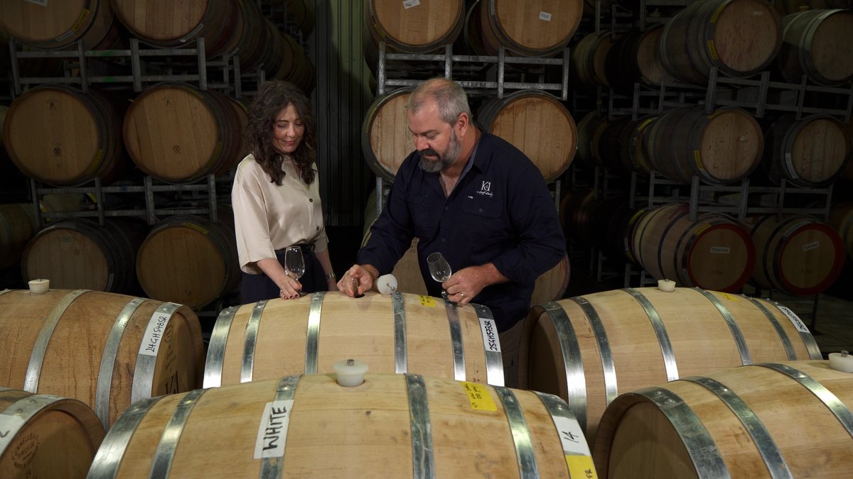 Channel 31 tweet media