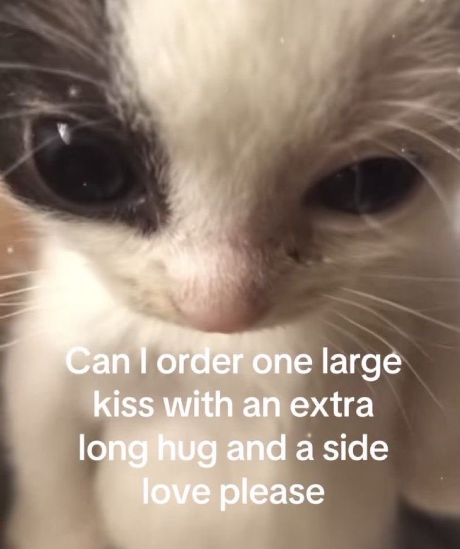 Agoni ⛓️💜 tweet media