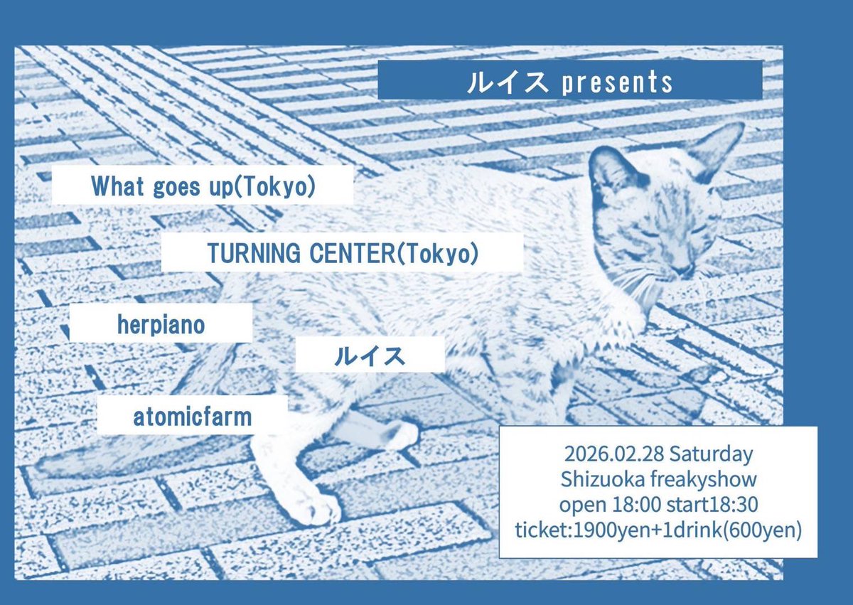 こんな感じのやります🎸🥁
2月28日18:00静岡freakyshow
よろしくお願いします🍜🧘‍♀️