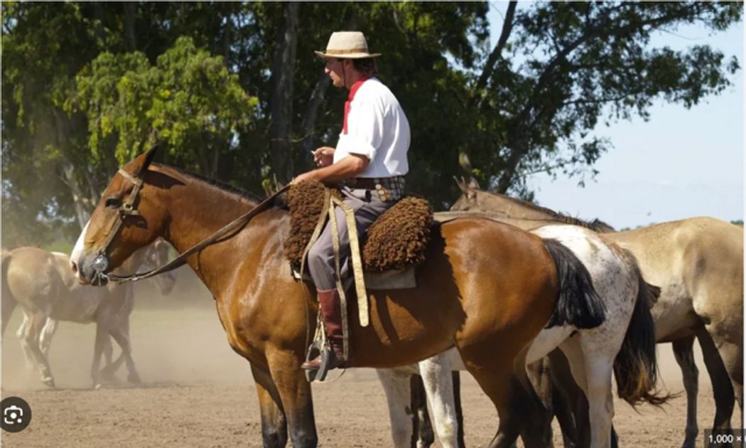 Saddle Up: Finding my inner Gaucho in the Argentine Pampas by <a href="/Timothy_Hughes/">Tim Hughes 提姆·休斯</a> buff.ly/FK7Zwlu <a href="/DLAIgnite/">DLA Ignite</a> #SocialSelling #DigitalSelling #Sales #SalesTips #SalesLeader #Salesforce #Travel #Argentina #Marketing #Leadership #HorseRiding #MarketingStrategy