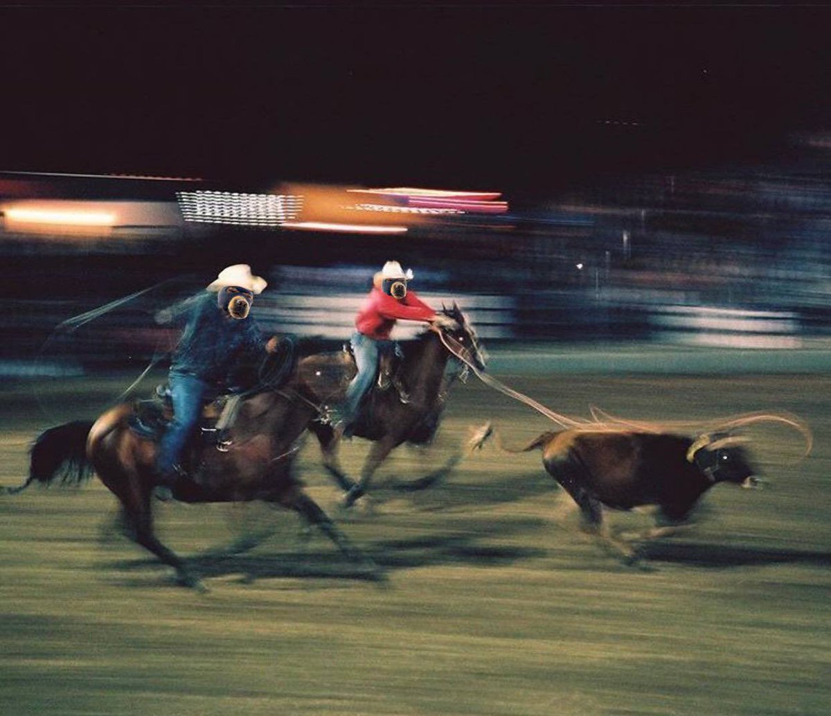 Ski Mask Dog tweet media