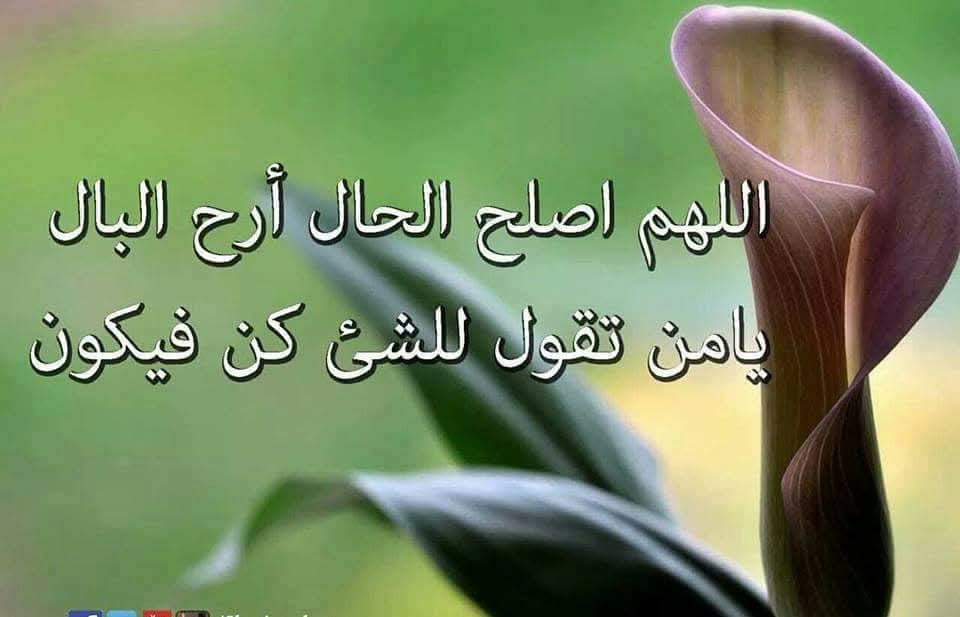 Ahmed Fathy ibrahem (@hlmyfathy) on Twitter photo 