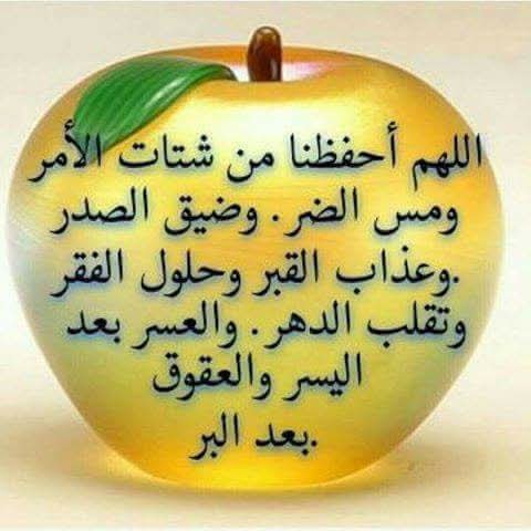 Ahmed Fathy ibrahem (@hlmyfathy) on Twitter photo 