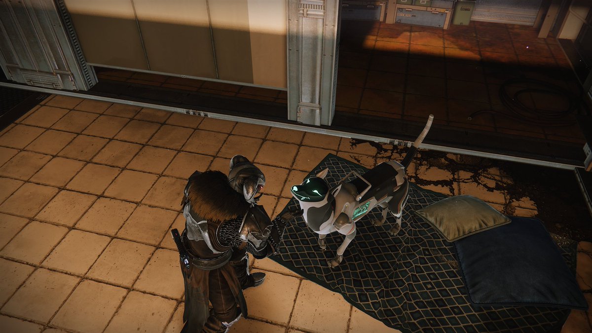 b1izzardhawk's tweet photo. Heard what happened to Artemis the dog, the inspiration for Archie in destiny 2. It's never easy losing a pet, especially as violently as he was taken away. At his owner's request, I honor him by showing Archie why he's still the best boy in destiny 2. #Destiny2 #Archie #goodboy https://t.co/eZjApGYq80