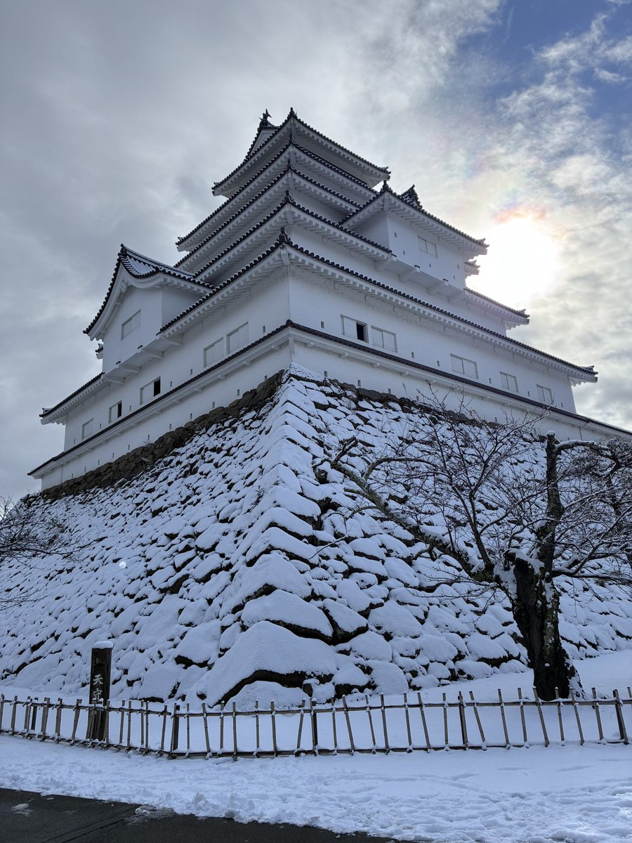 墨墨ちゃん tweet media