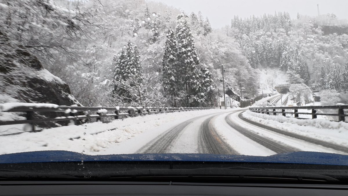 墨墨ちゃん tweet media