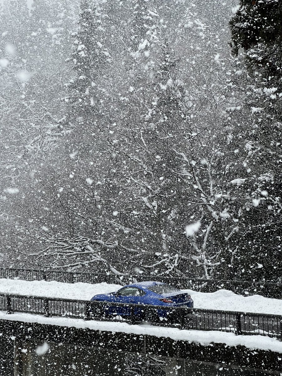 墨墨ちゃん tweet media