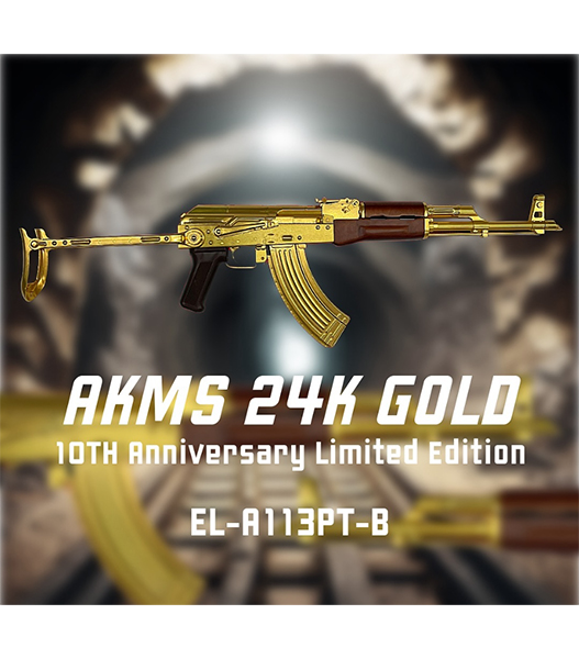 超美品　AKM 10th Anniversary 限定モデル 緊急再入荷！] E&L 本体 24K金メッキ E-PLATINUM AKMS 10YEARS