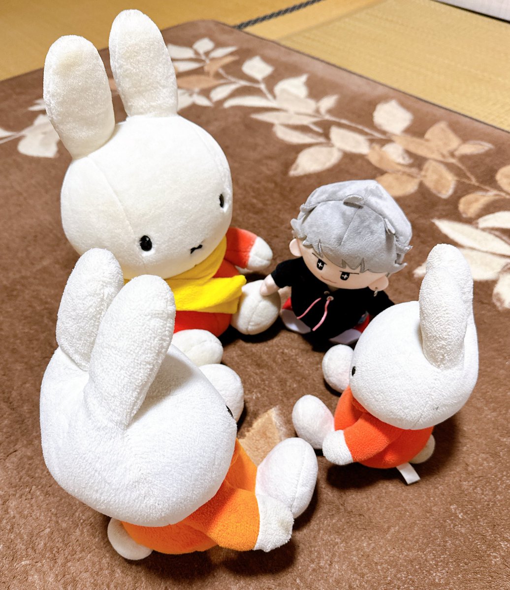 ついに実家の🐰達と対面させてきた🥰🥰🥰かわいい❤️ #北山宏光