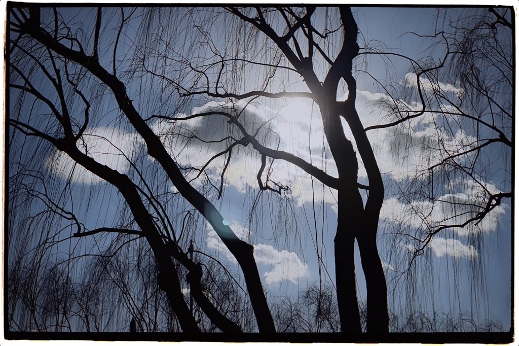 热热齐 (@rereqi825) on Twitter photo 