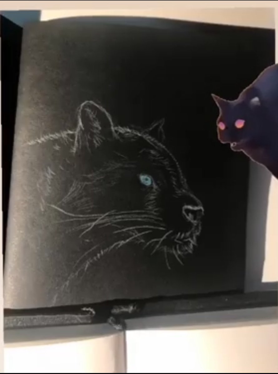 tetra.matra tweet media