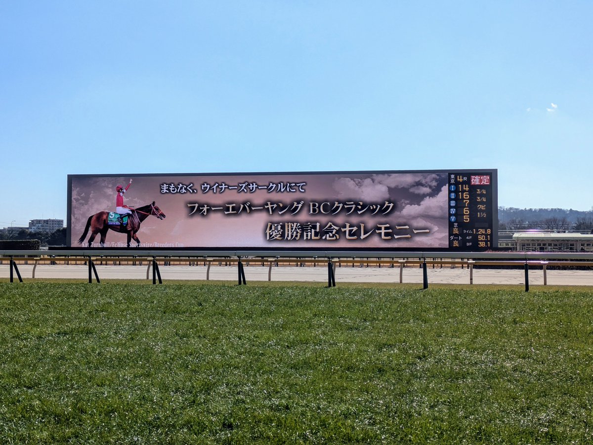 東京競馬場では、#フォーエバーヤング のブリーダーズカップクラシック