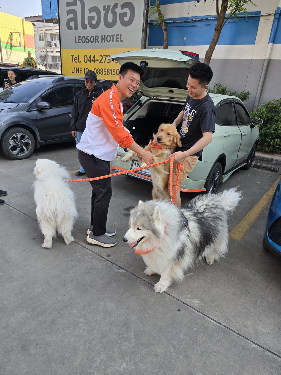 markpeak's tweet image. หมาเซ็ตนี้เรียก 3 ป (ชื่อขึ้นต้นด้วย ป จริงๆ ไม่ใช่มุข) สร้างชื่อเสียงระดับชาติจากการเป็นหมาที่งับมือนายก