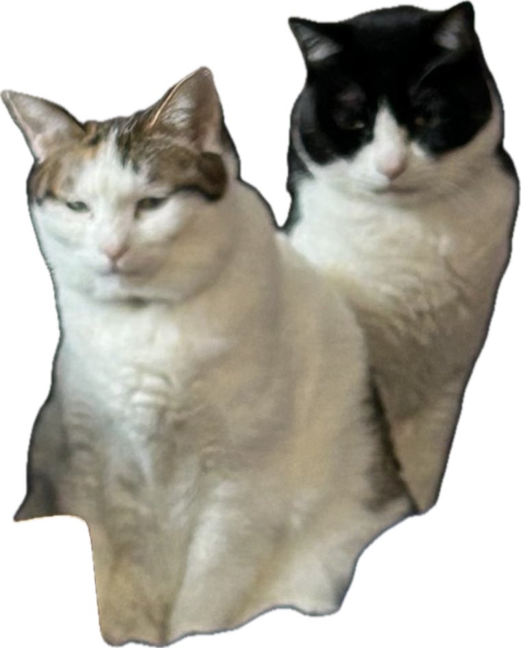 ふたりともどうした？