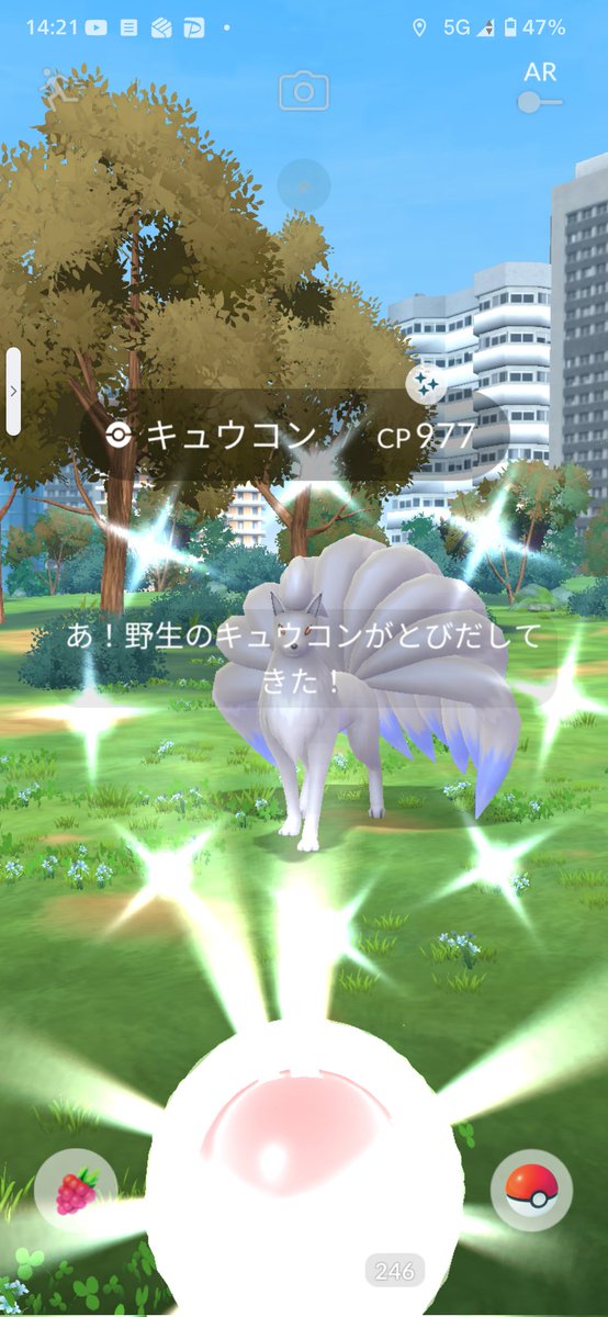 red_rosso's tweet photo. 色違いキュウコン
早くも終わった。 https://t.co/0kwMZZBigz
