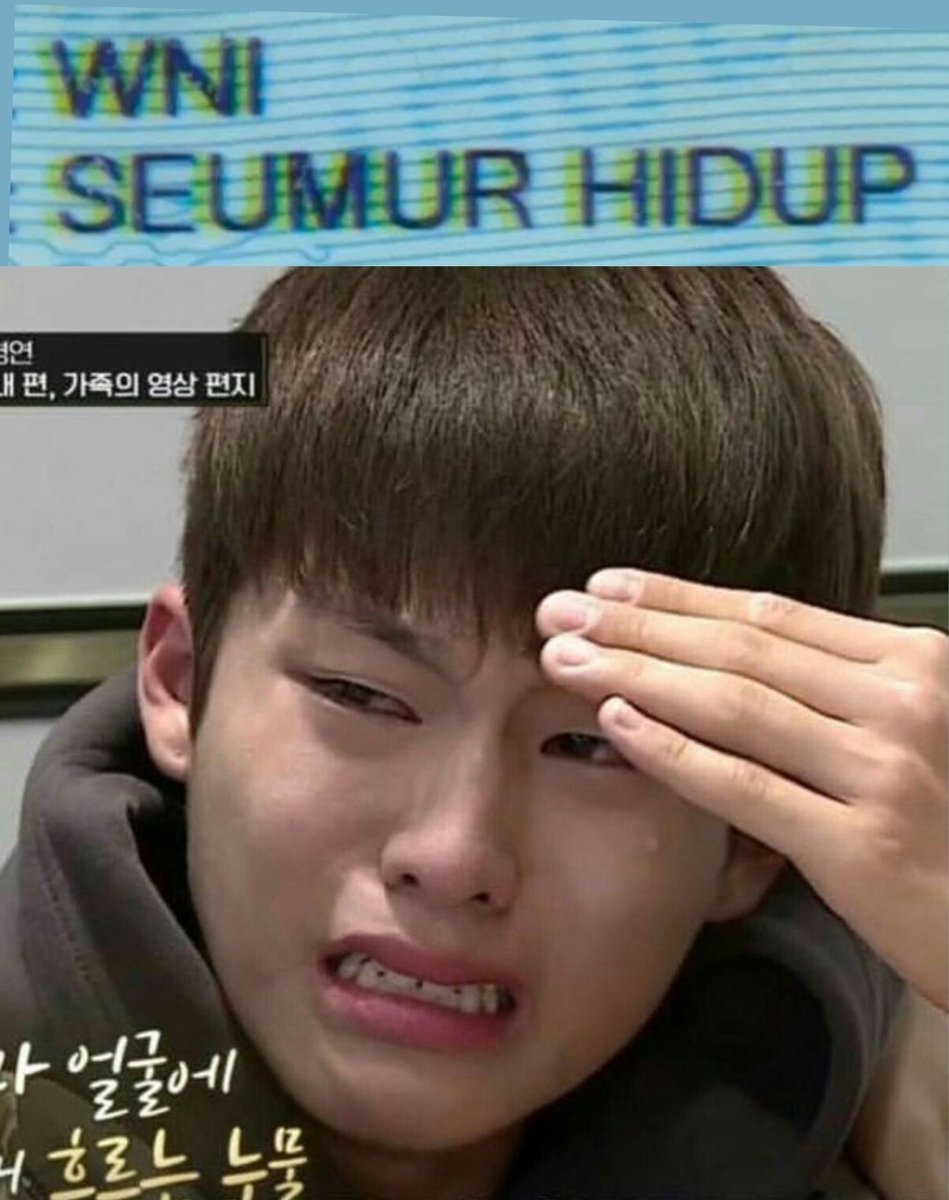 BONBON JUNKYU tweet media