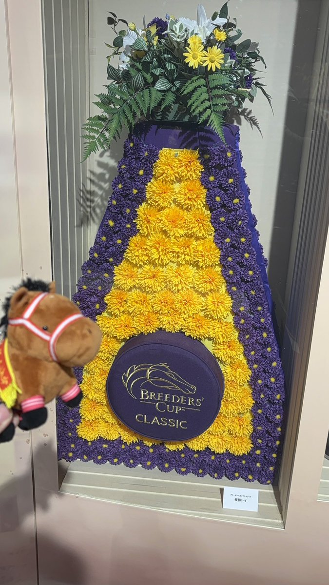 自分の人生の中であと何度この光景を観れるか…
本当に貴重な展示ばかりで感動しました
ありがとうフォーエバーヤング
おめでとうございます